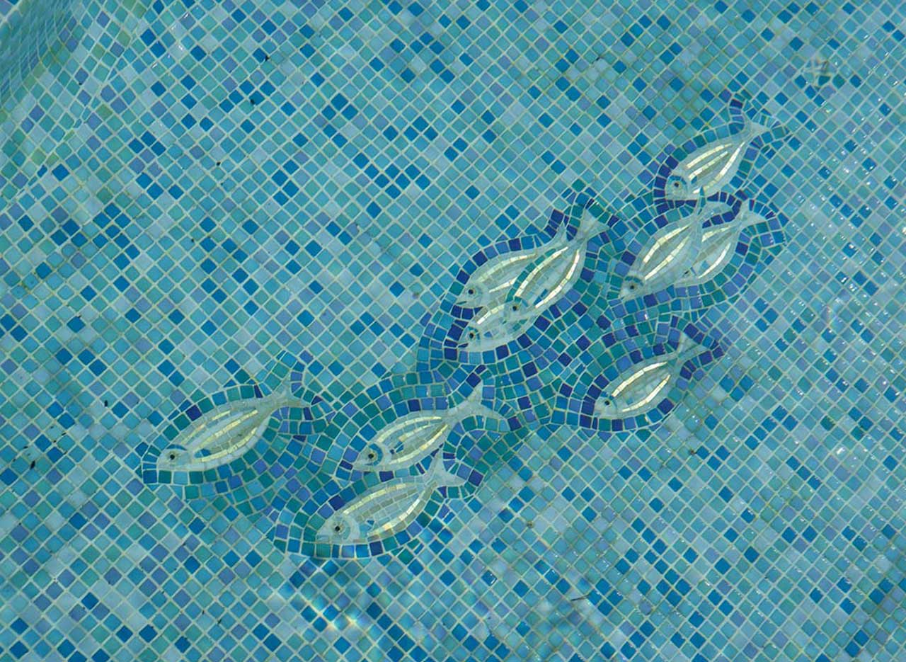 Pool Gallery