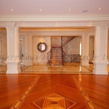 Interior Luxury With Limestone Pilaster and Column